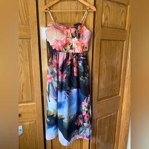 Anthropologie Corey Lynn Calter Daybreak Floral Midi Dress Size 4